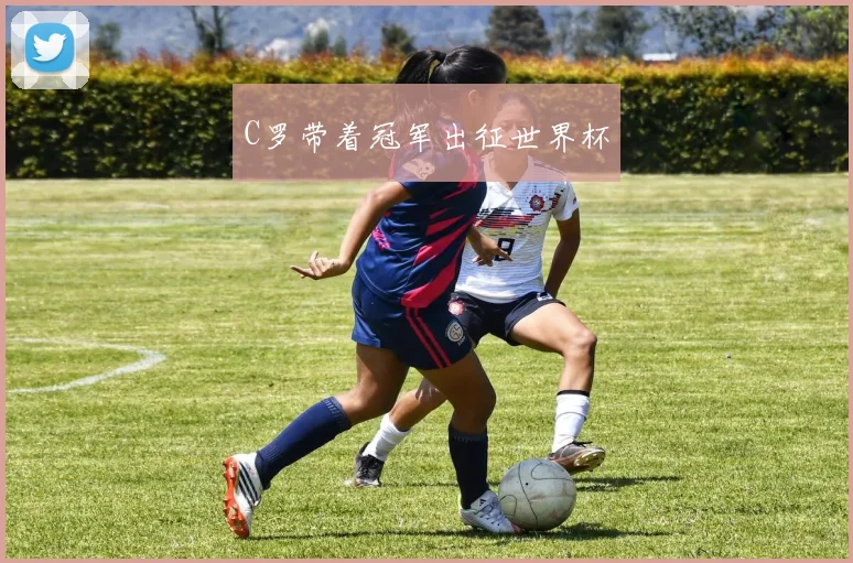 C罗带着冠军出征世界杯