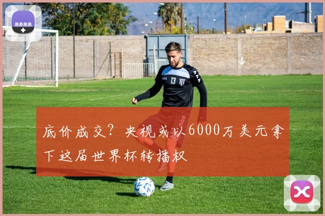 底价成交？央视或以6000万美元拿下这届世界杯转播权