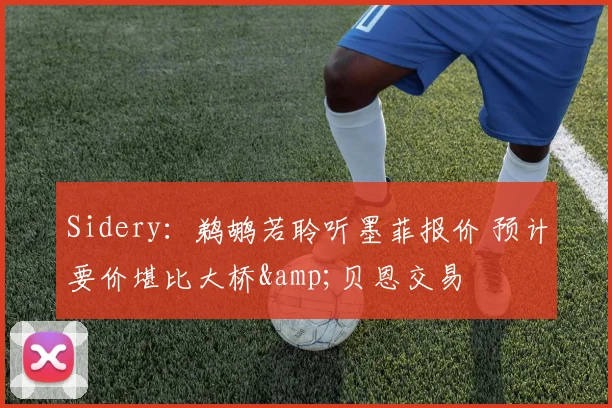 Sidery：鹈鹕若聆听墨菲报价 预计要价堪比大桥&贝恩交易
